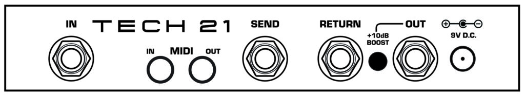 Back Plate Illustration
